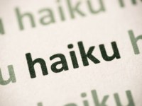 haiku #1